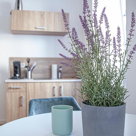 Apartment Kabinett Zell Extérieur photo